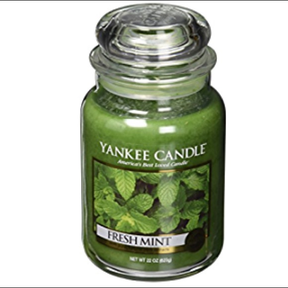 Yankee Candle Accents Rare Yankee Candle Fresh Mint Large Jar